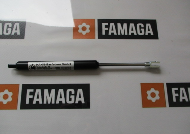 Hahn Gasfedern