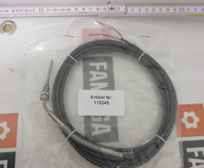 Датчик температуры
Temperaturfühler 2Pt100 3.5x40 3m Kabel Kallfass Verpackungsmaschinen